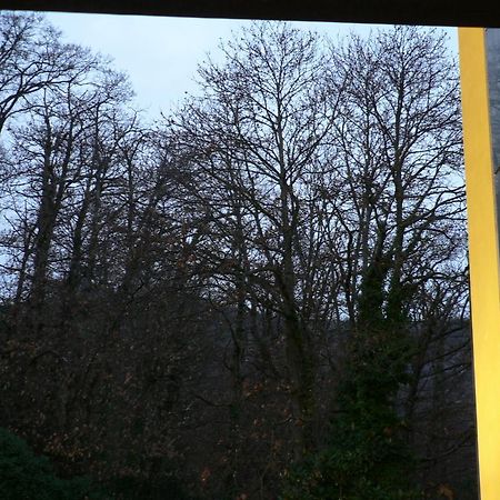Hotel Benito Al Bosco Velletri Esterno foto
