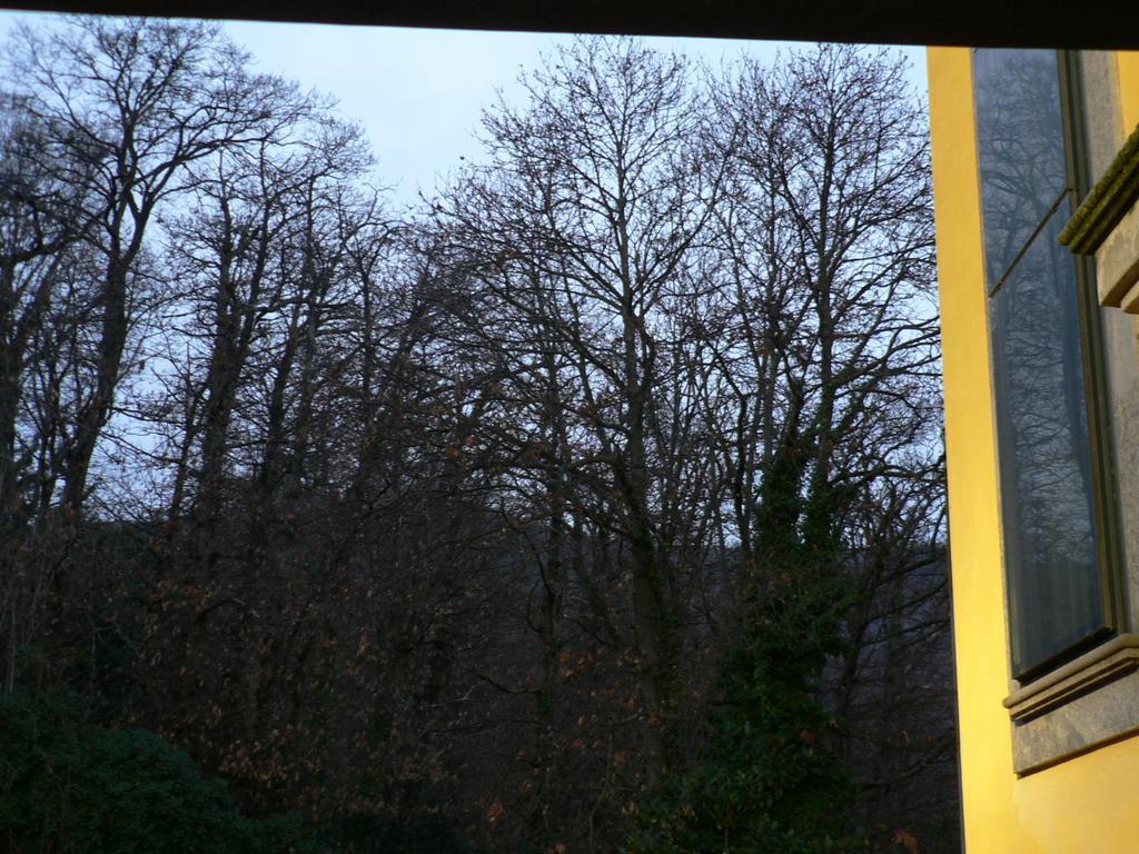 Hotel Benito Al Bosco Velletri Esterno foto